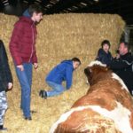 Goirlenet_Winter_Farm_Fair_18_6